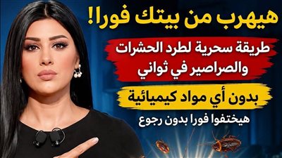 هيهرب من بيتك فورا طريقة سحرية لطرد الحشرات والصراصير في ثواني بدون اي مواد كيميائيه هيختفوا فورا بدون رجوع