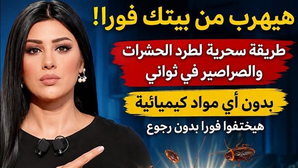 لمحة نيوز