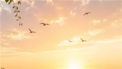 قبل ما يعدّي على جوازنا 3 أيام