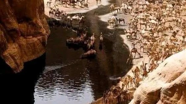 لمحة نيوز